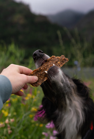 Pheasant Bars