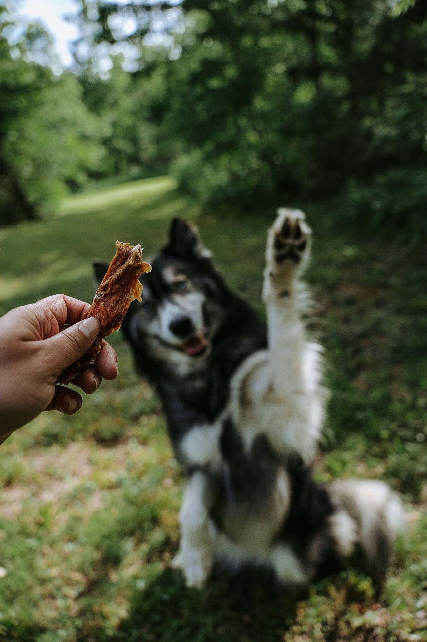 Chicken Strips