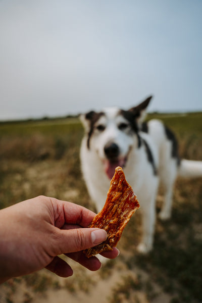 Chicken Strips