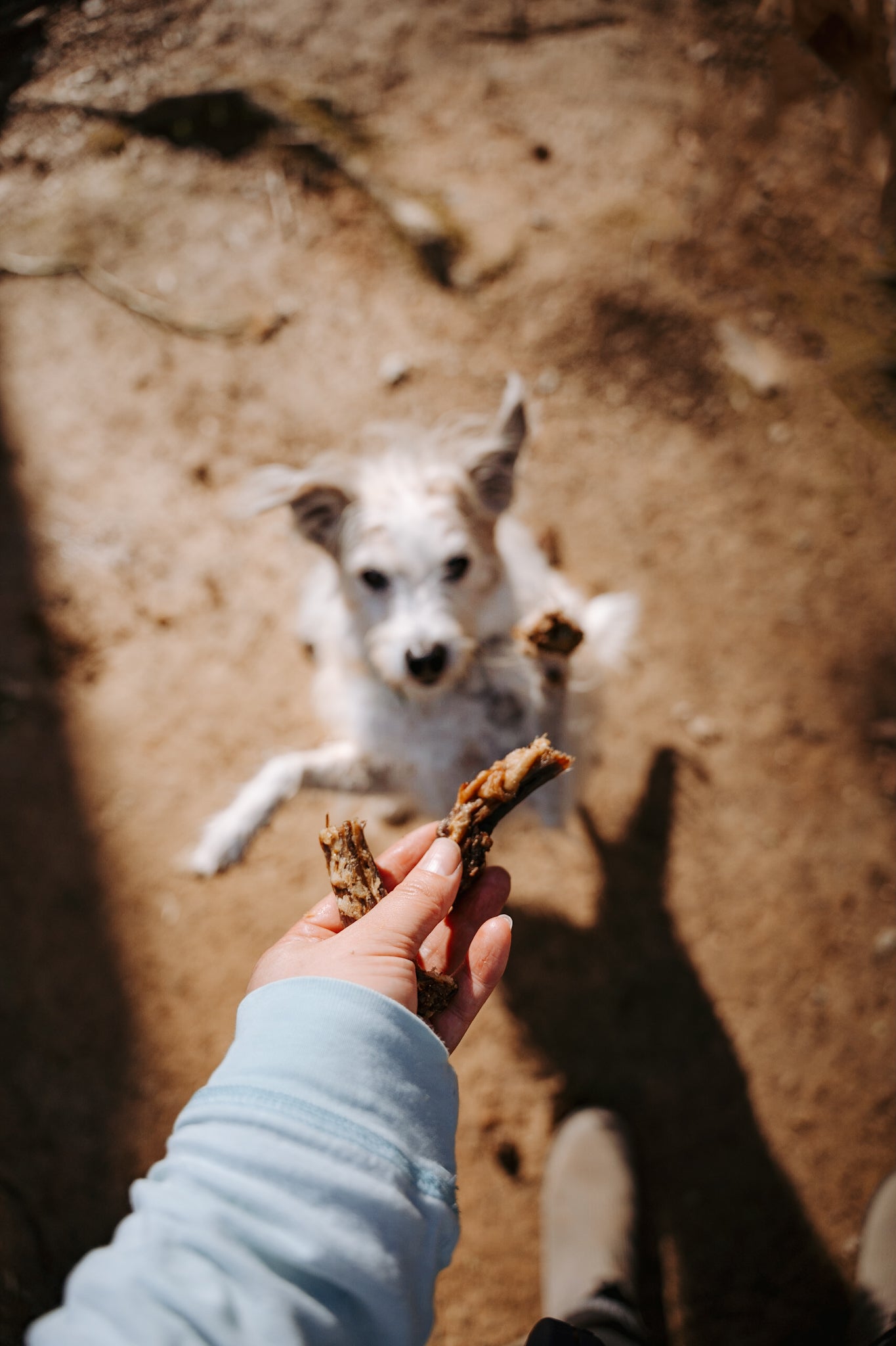 Turkey Sticks