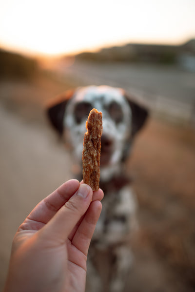 Turkey Sticks