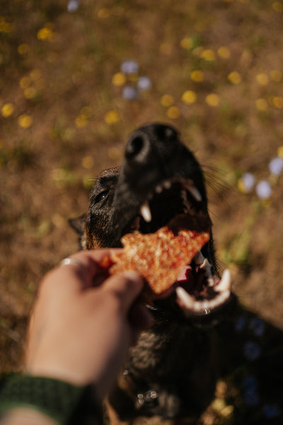 Turkey Strips