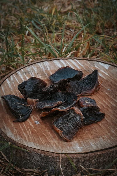 Turkey Gizzards