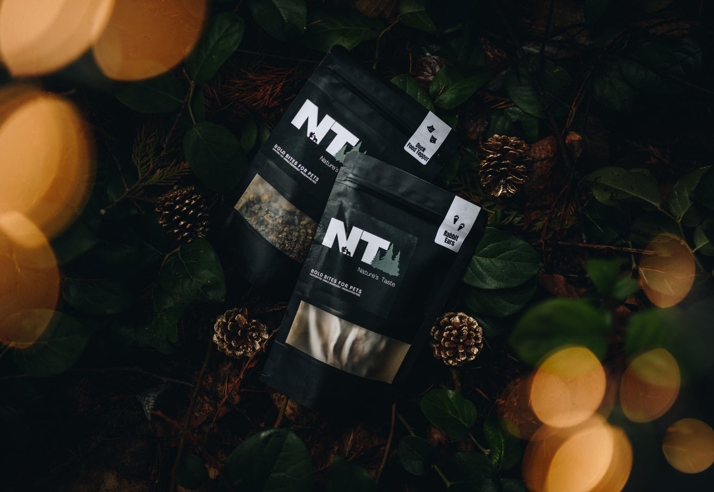 NT Gift Card